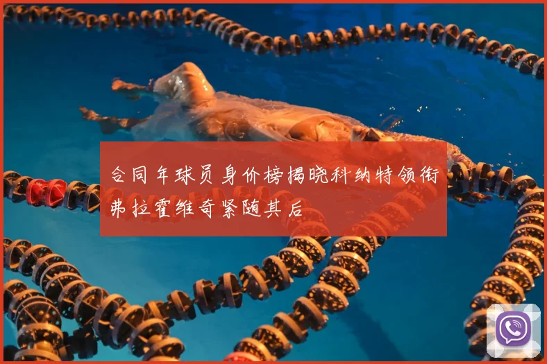 合同年球员身价榜揭晓科纳特领衔弗拉霍维奇紧随其后