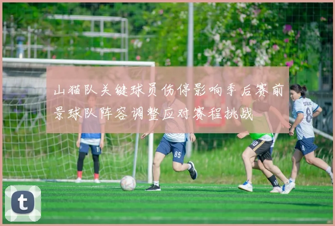 山猫队关键球员伤停影响季后赛前景球队阵容调整应对赛程挑战