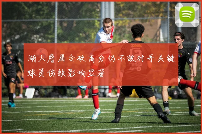 湖人詹眉合砍高分仍不敌对手关键球员伤缺影响显著