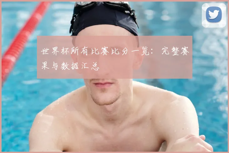 世界杯所有比赛比分一览：完整赛果与数据汇总