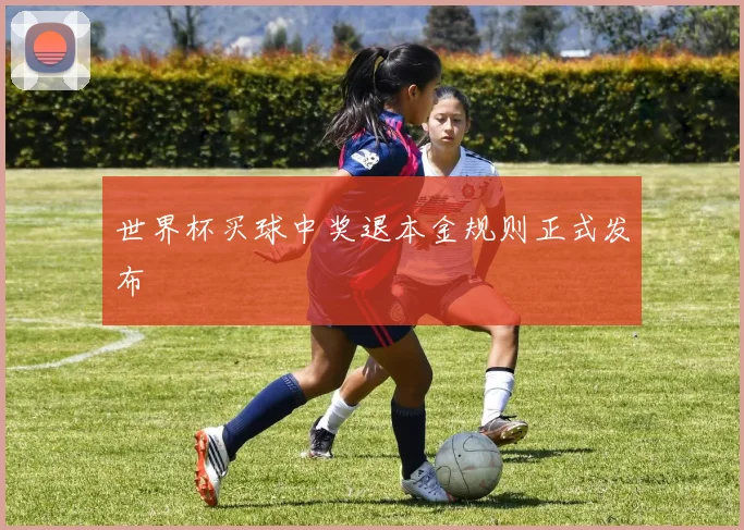 世界杯买球中奖退本金规则正式发布