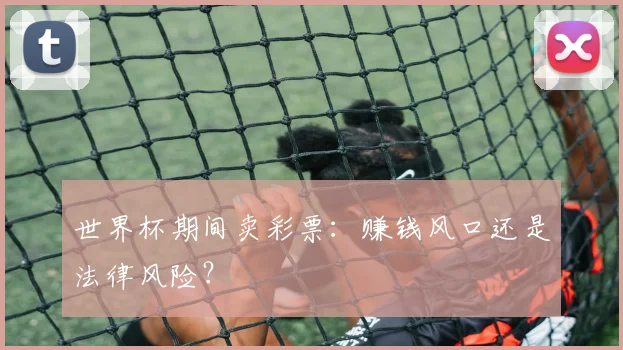 世界杯期间卖彩票：赚钱风口还是法律风险？