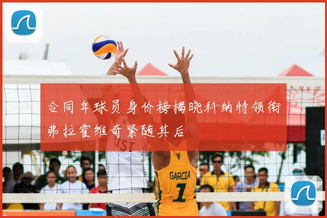 合同年球员身价榜揭晓科纳特领衔弗拉霍维奇紧随其后